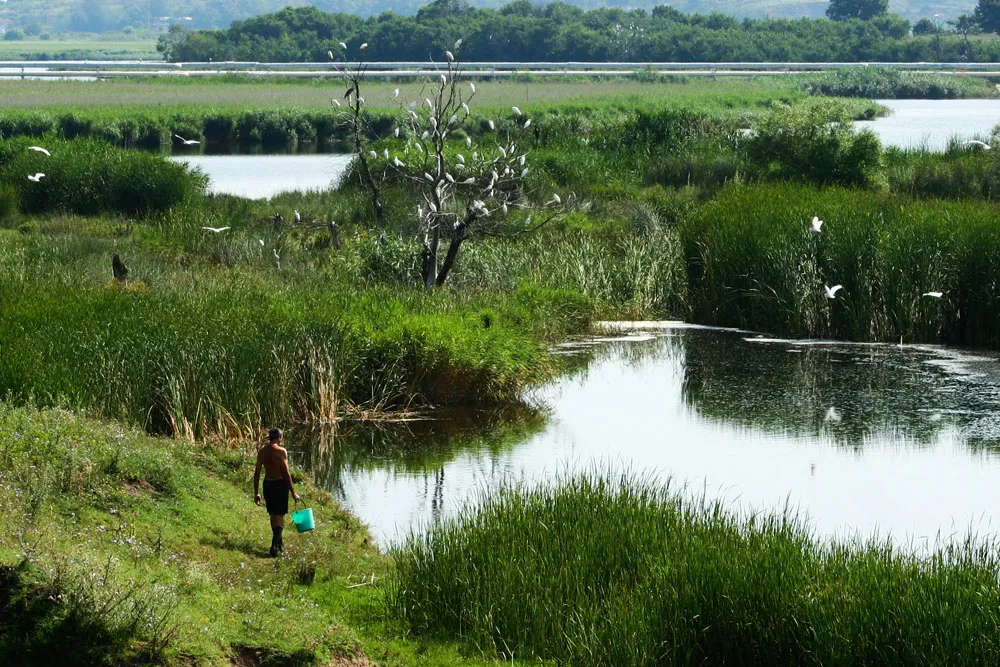 Wild horses and unique landscape: Ecological reserve "Uzungeren" reveals the natural wealth of the Burgas region
