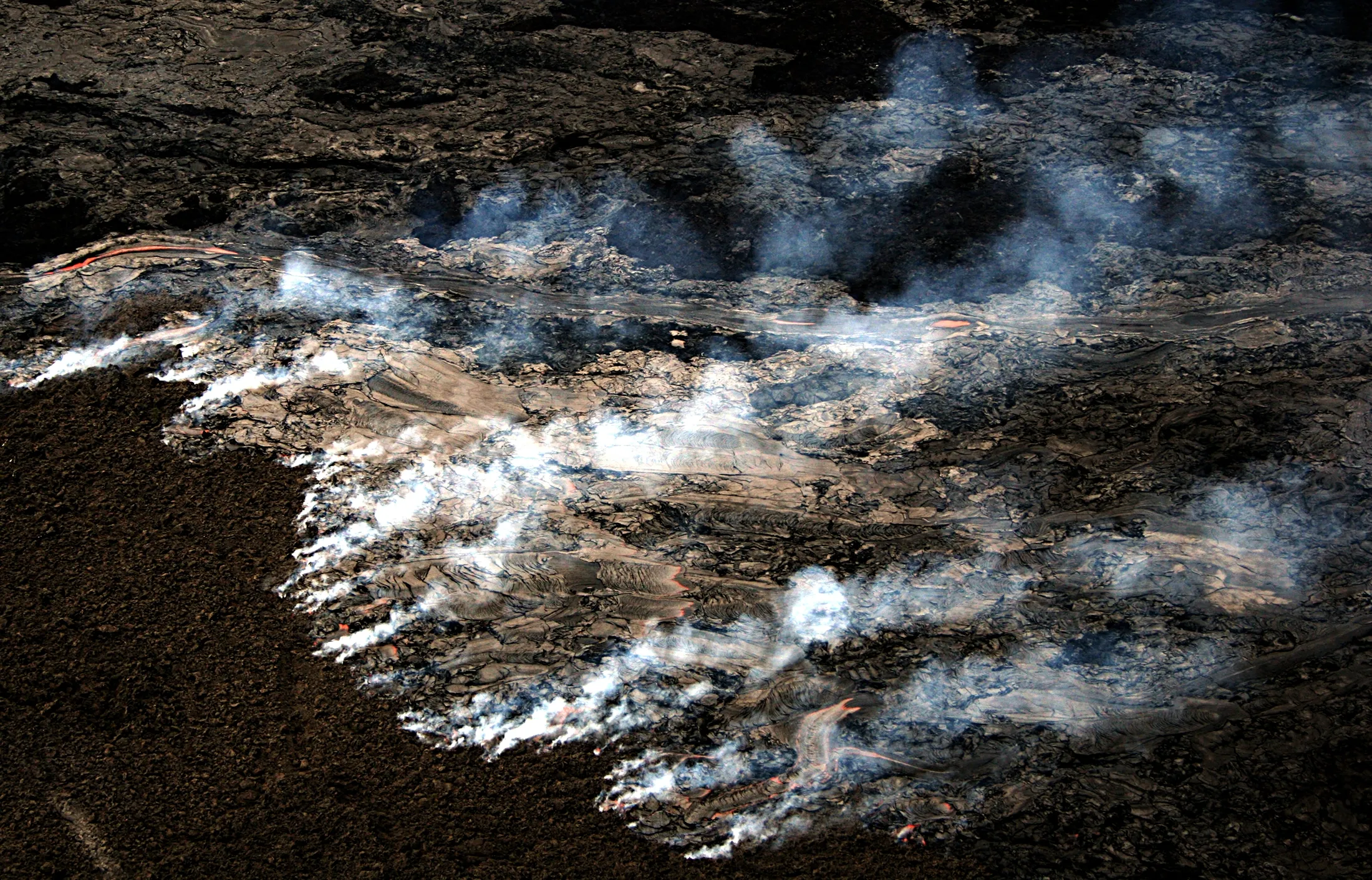 Fire Disaster in Trynsko: Large-Scale Rescue Operation Against Spreading Wildfire