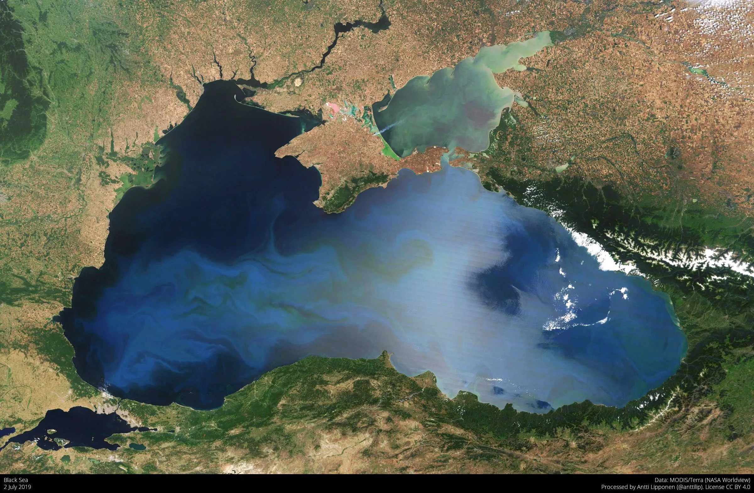 Revolutionary Discovery: New Microbes Reveal the Secrets of the Black Sea