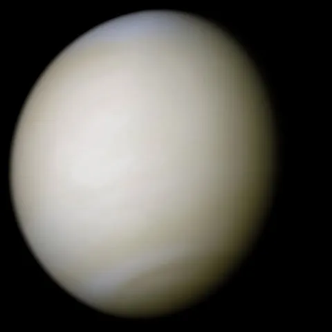 Venus: An Astronomical Phenomenon with Unique Visibility on the Eastern Horizon in August