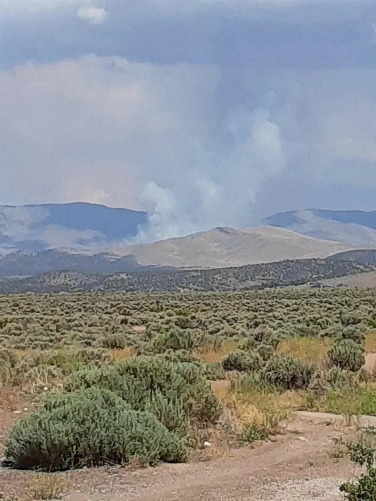 Critical Fire in Pirin: Over 150 Rescuers Battle the Flame Disaster near Ilindetsi