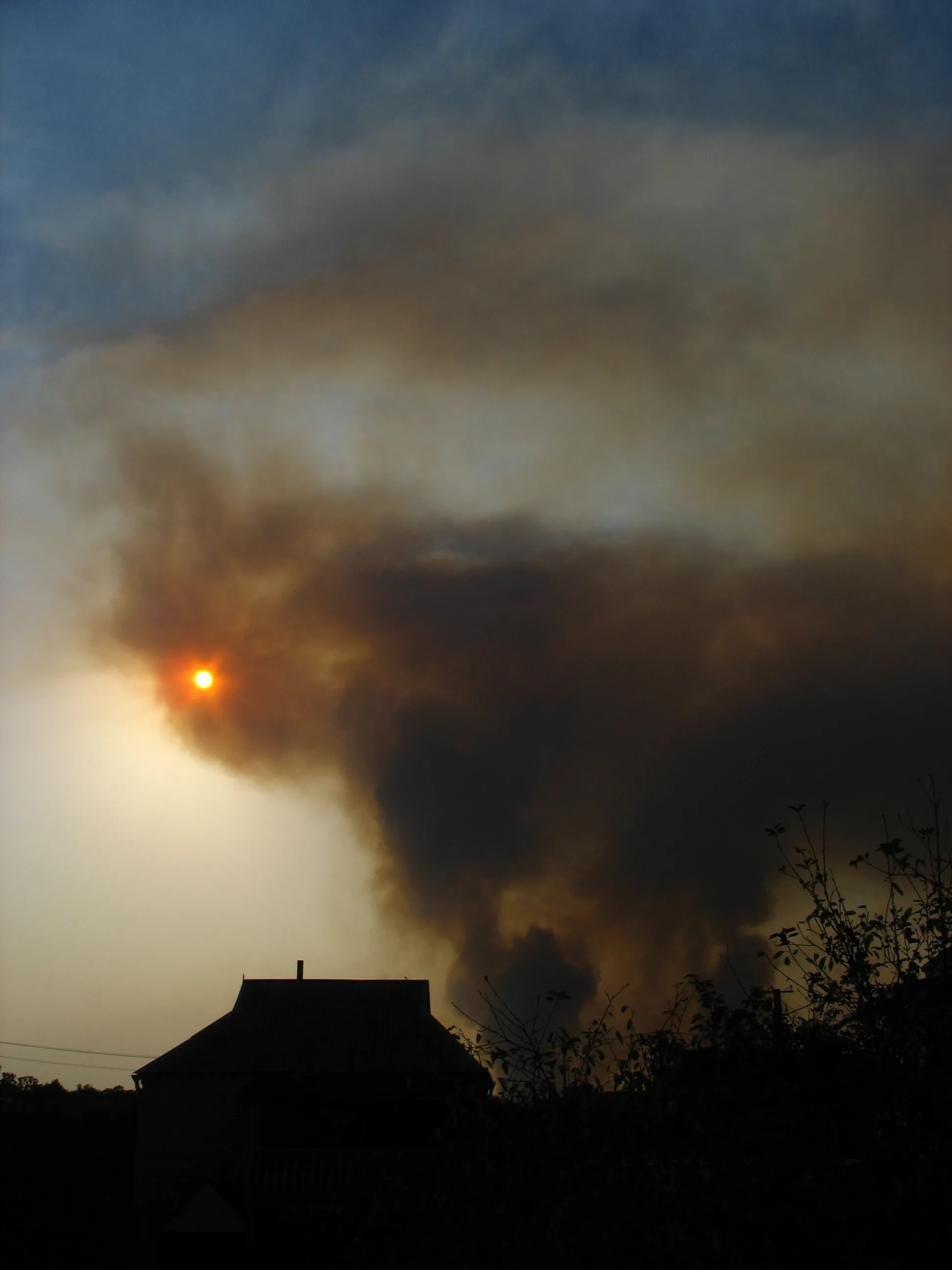 Fire Element in Burgas Region: Critical Situation in Bulgarovo and Loznitsa