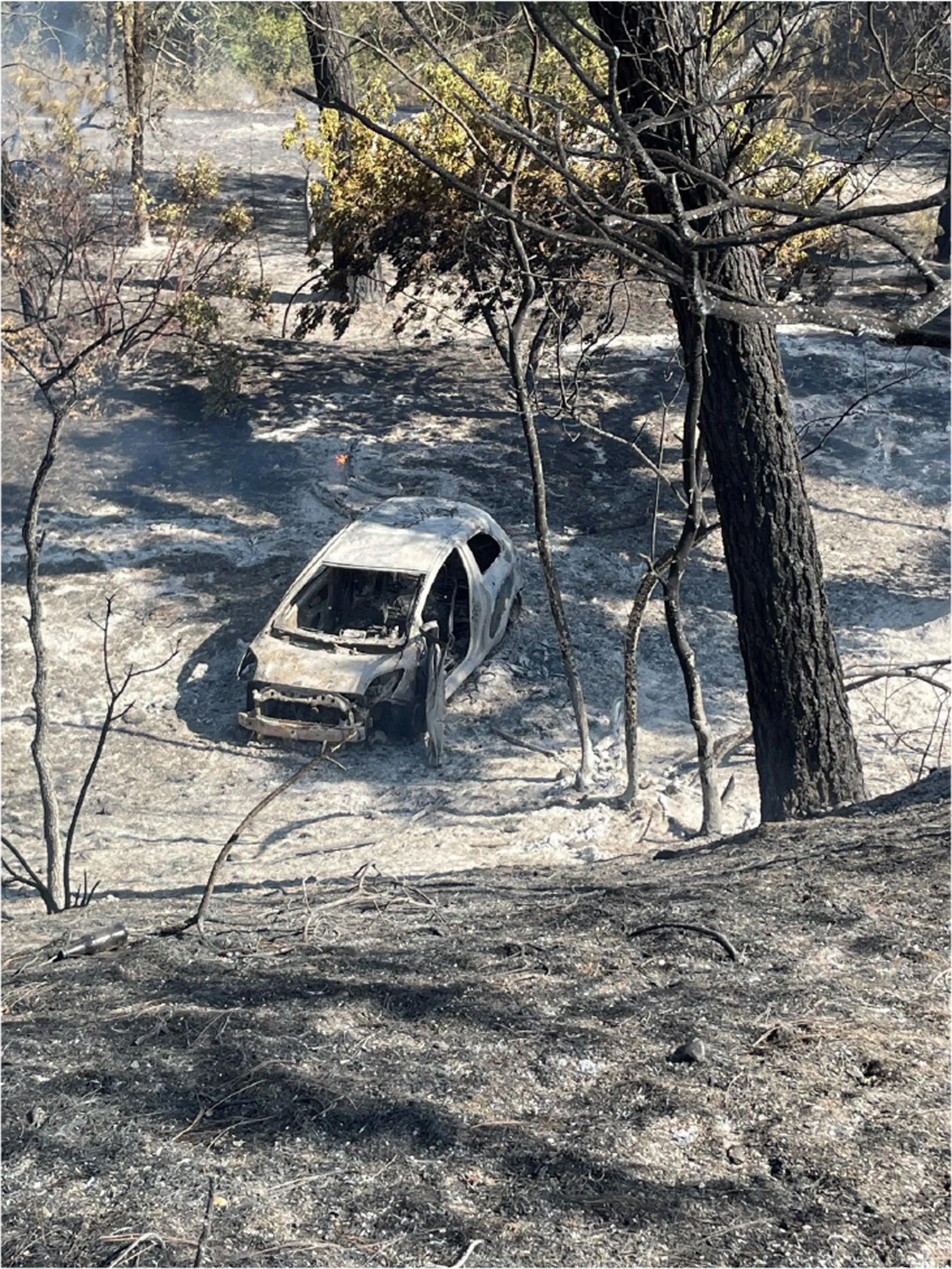 Man detained, suspected of arson in Burgas