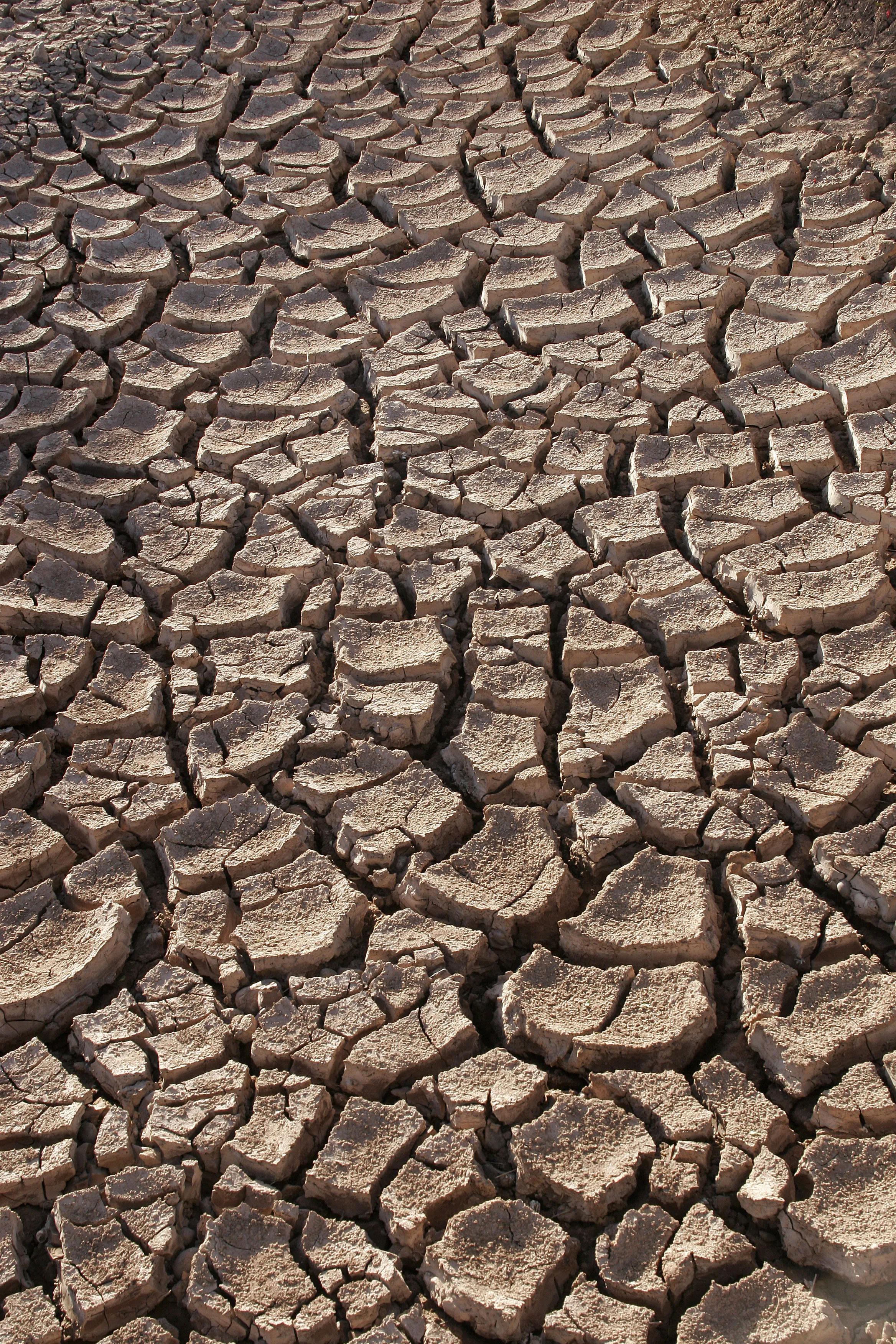 Water Shortage in Bulgaria: 160,000 People Affected