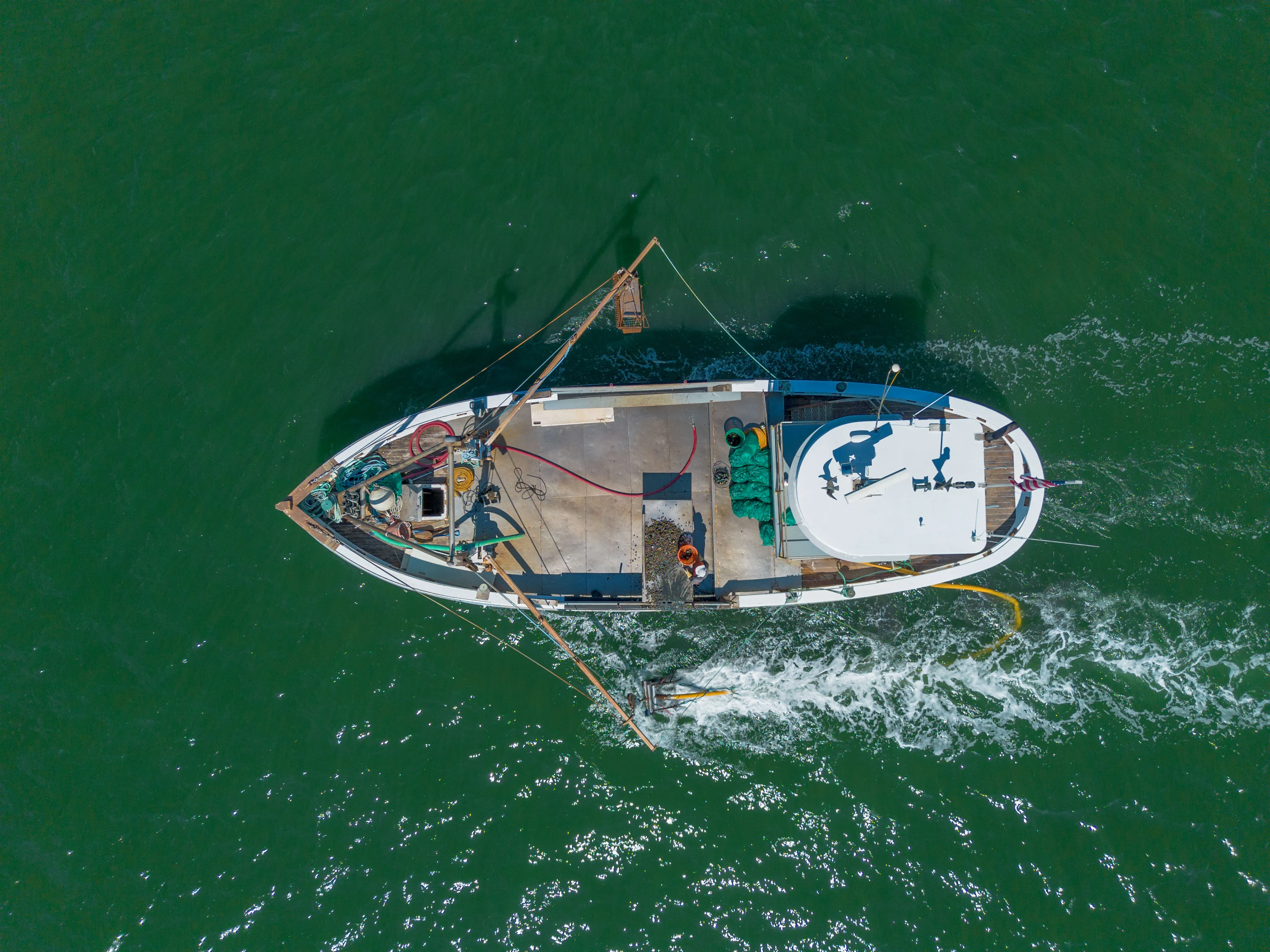 Поскъпва любителският риболов в България: Билетът вече 50 лв.