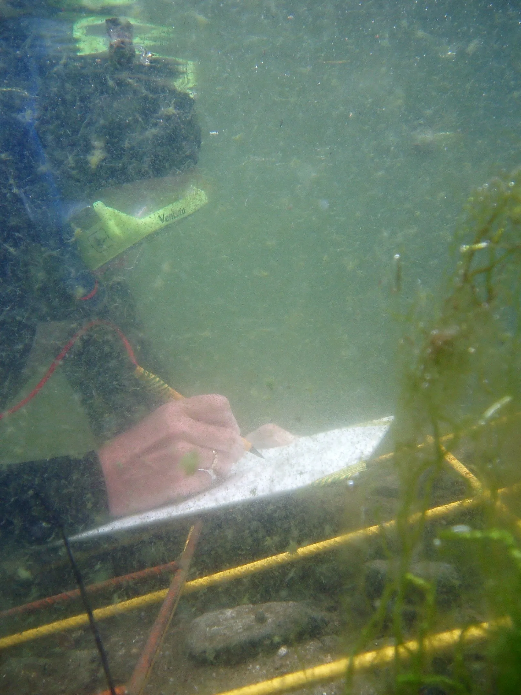 Тайните на Черно море: Форум разкрива древни корабокрушения и нови технологии