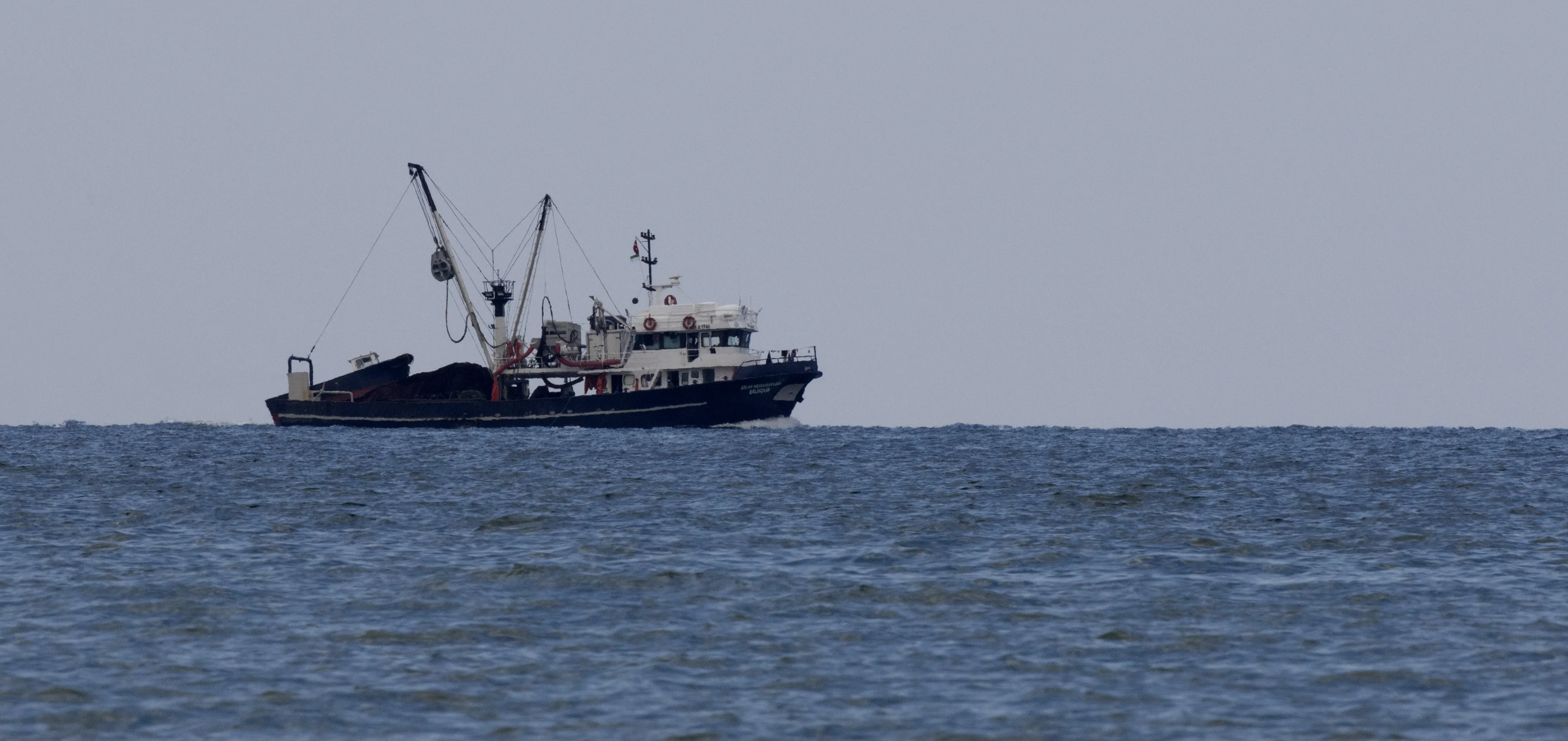 Бум на улова в Черно море: Сафридът скочи с 200%, очаква се и богат паламуд
