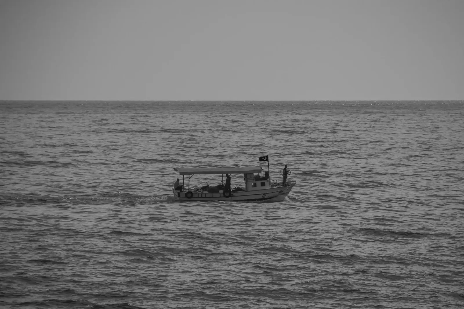 «БГ фіш»: без пристані й біржі близько половини вилову в Чорному морі лишається в сірому секторі