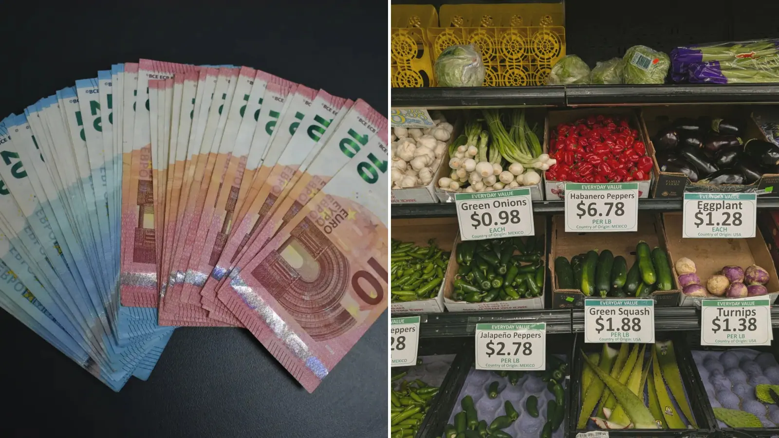 „И Уай“: икономиката на България ще расте с 3,5% през 2027 г.