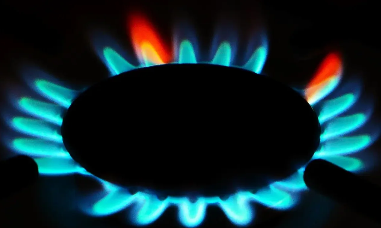 Цена газа для населения в Болгарии за год упала сильнее, чем в любой другой стране ЕС, — на 14,5%