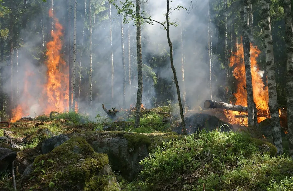 Emergency Measures for Fire Prevention in Agricultural Areas
