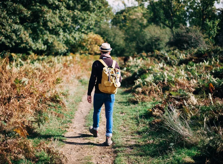A Brief Walk: A Revolutionary Method for Combating Mental Stress