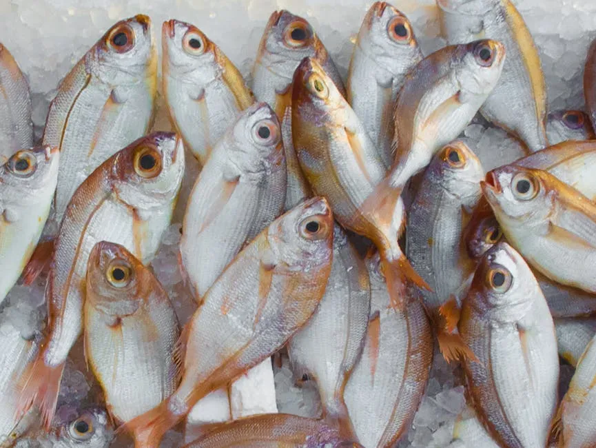 Морские Вкусы: Кулинарное Богатство Бургасского Побережья