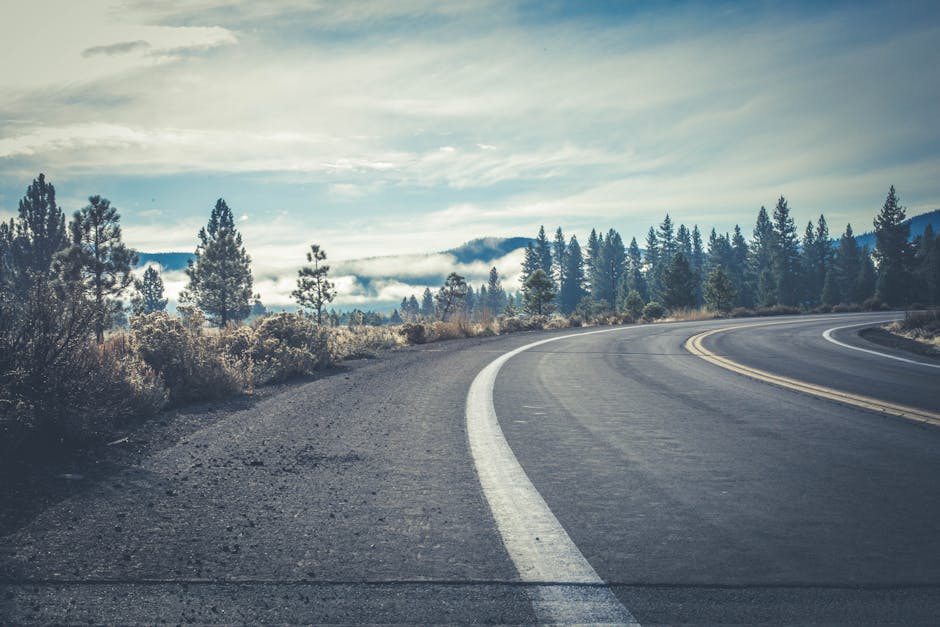 A new section of the "Ruse - Veliko Tarnovo" motorway between Byala and Veliko Tarnovo is in the process of design and construction.