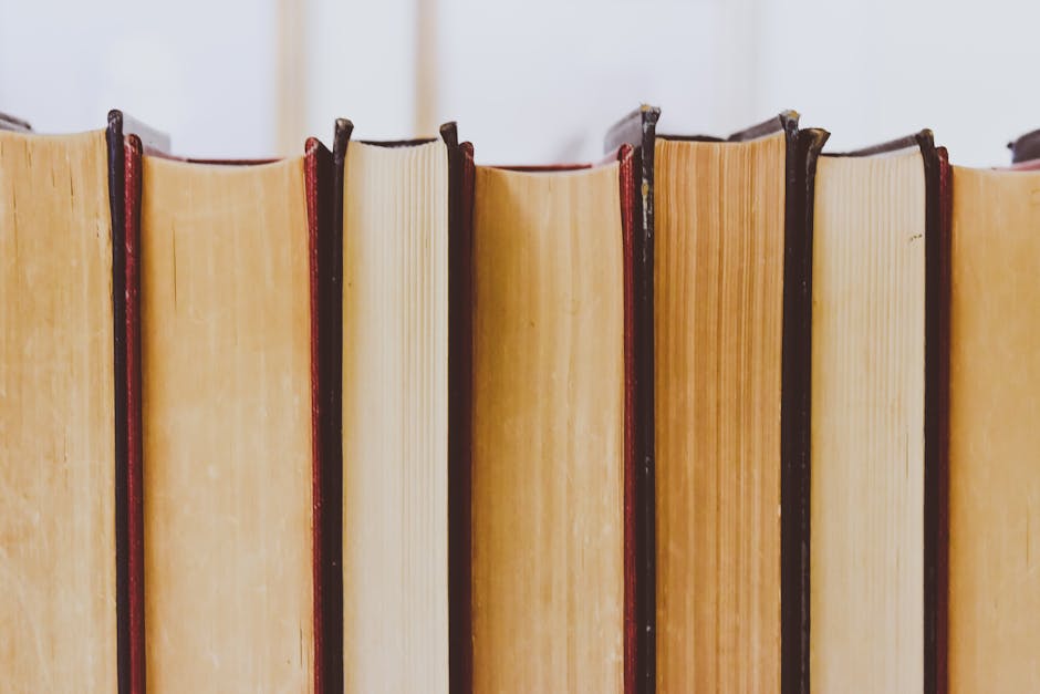 Завръщане към корените: Нова книга на български автор, живеещ във Франция, вдъхновява младите