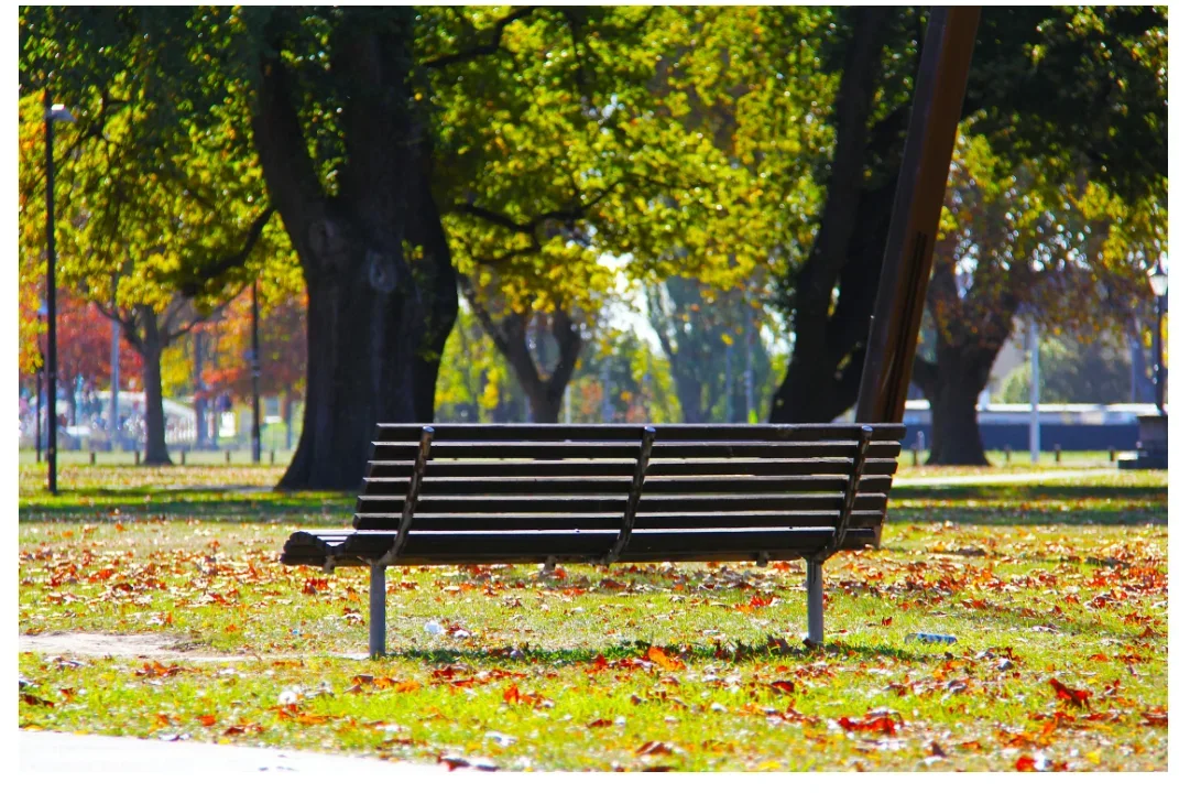 Modern Green Space Izgrev in a Capital District - Revealing Community Potential