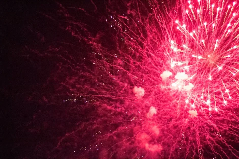 Sea Fest 2025 Transforms Varna into the Heart of Maritime Adventures and Celebrations