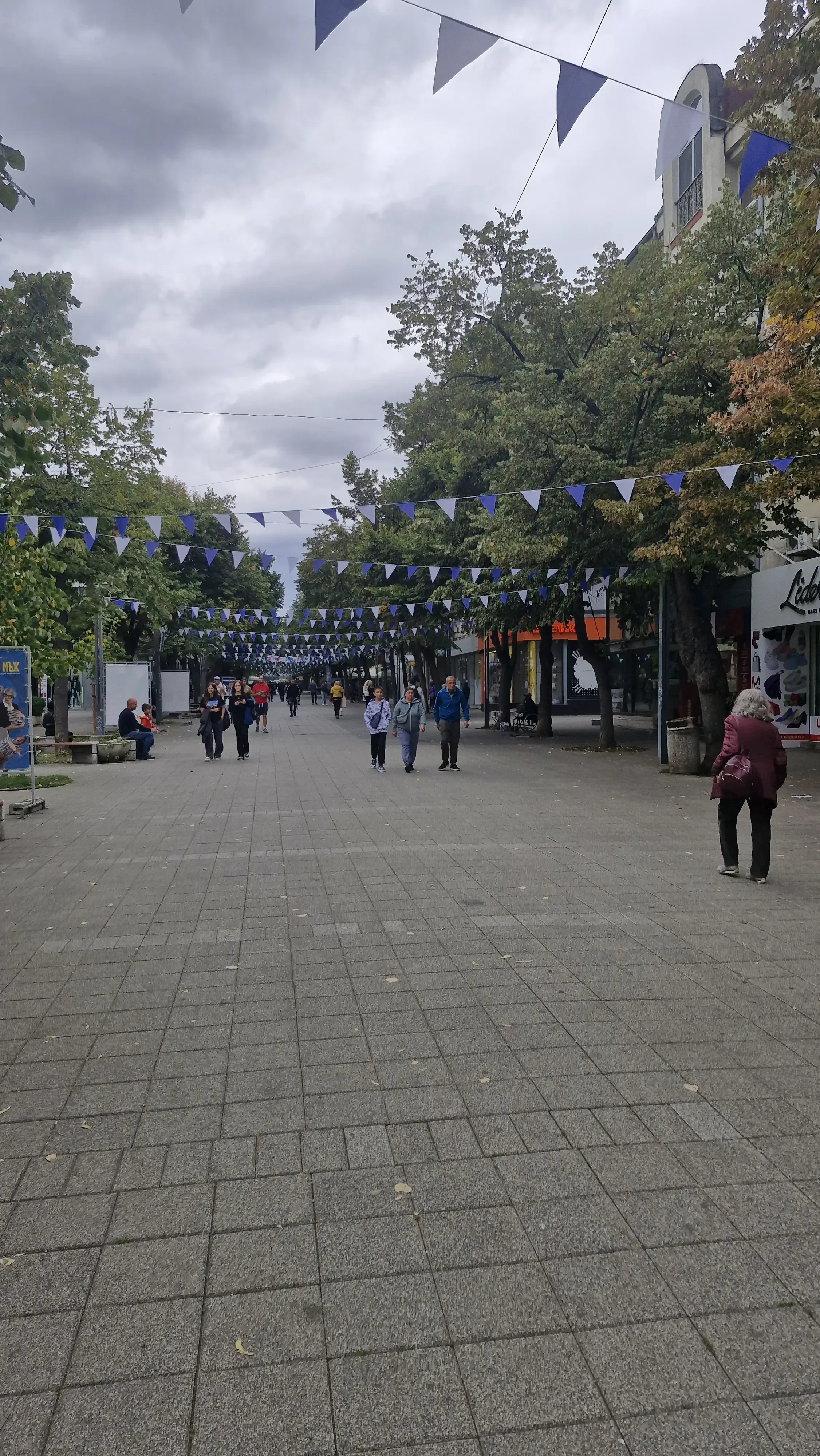 Bulgaria: Population Declines in 2024, According to NSI