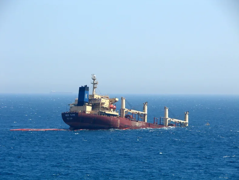 Ship Sinks in the Black Sea: Details of the Incident
