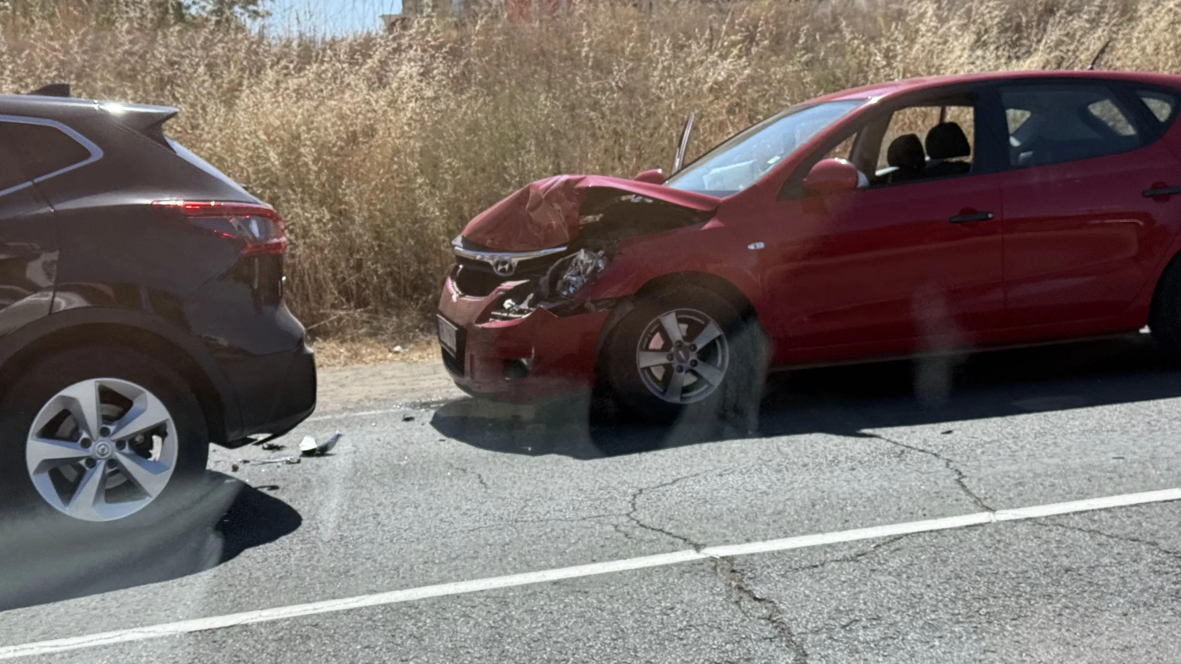 Road Accidents in Bulgaria: Casualties and Alarming Statistics
