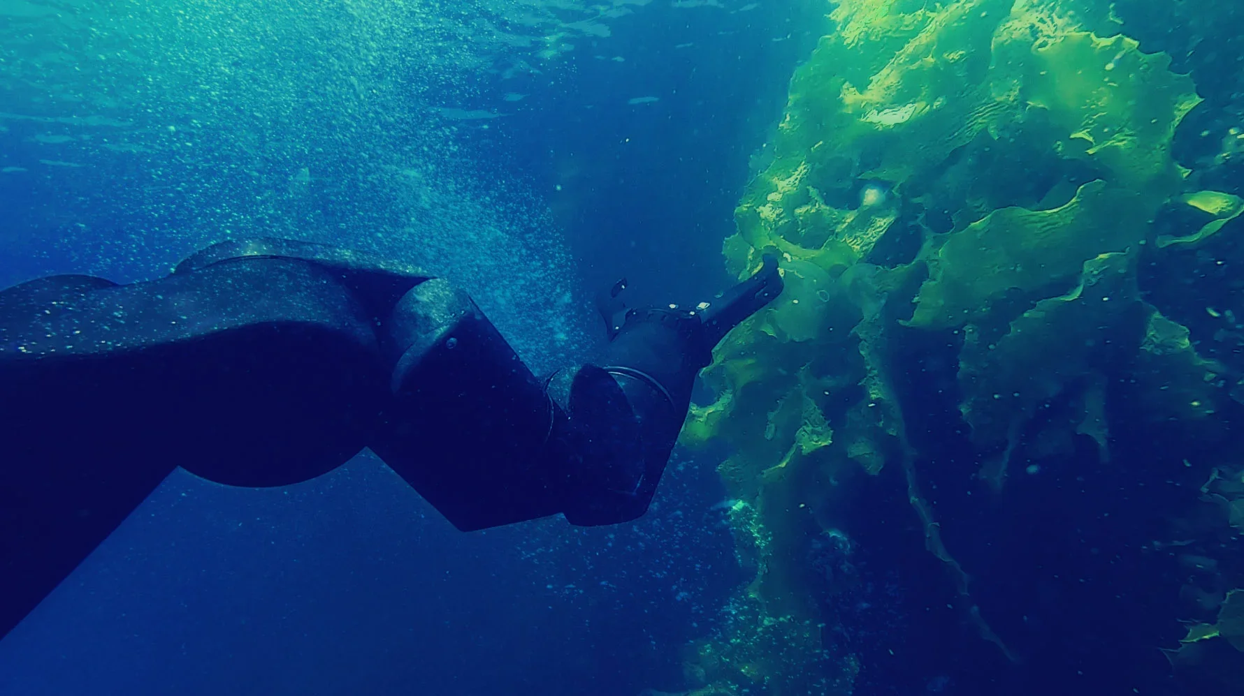 Бургас відзначає День Чорного моря з дослідженнями та подіями