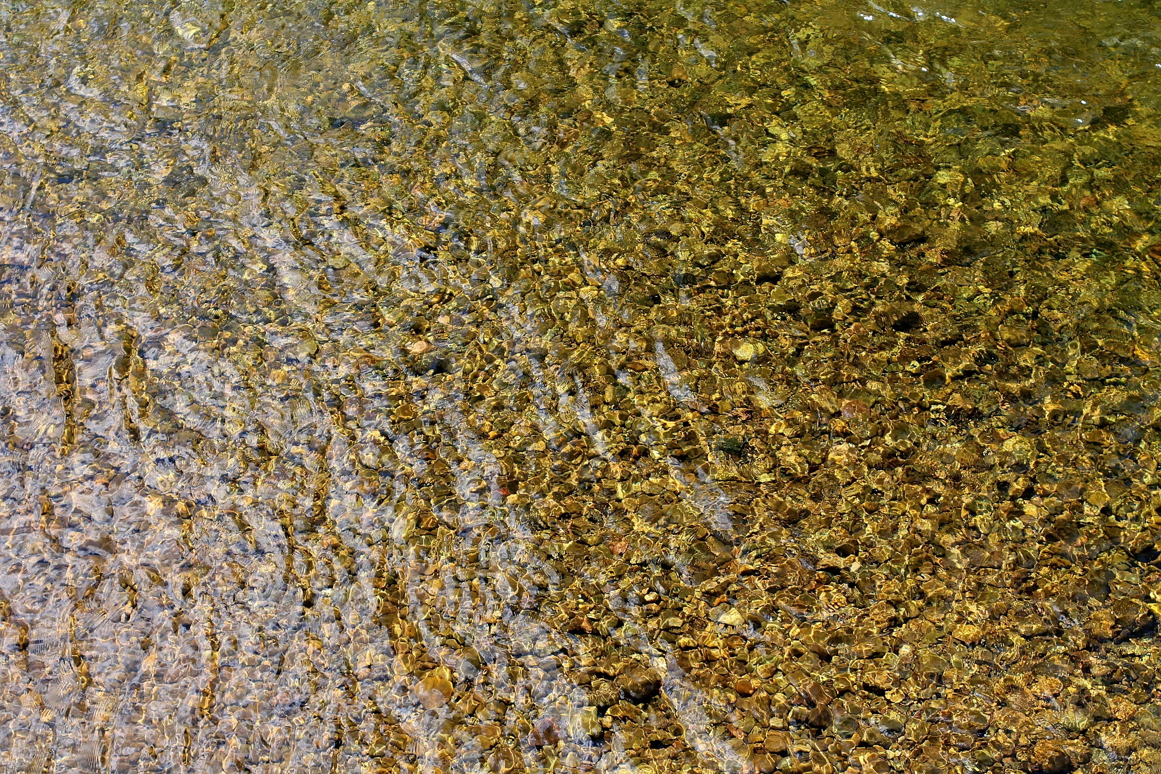 Проверка на речни корита във Варна: Тревожна картина