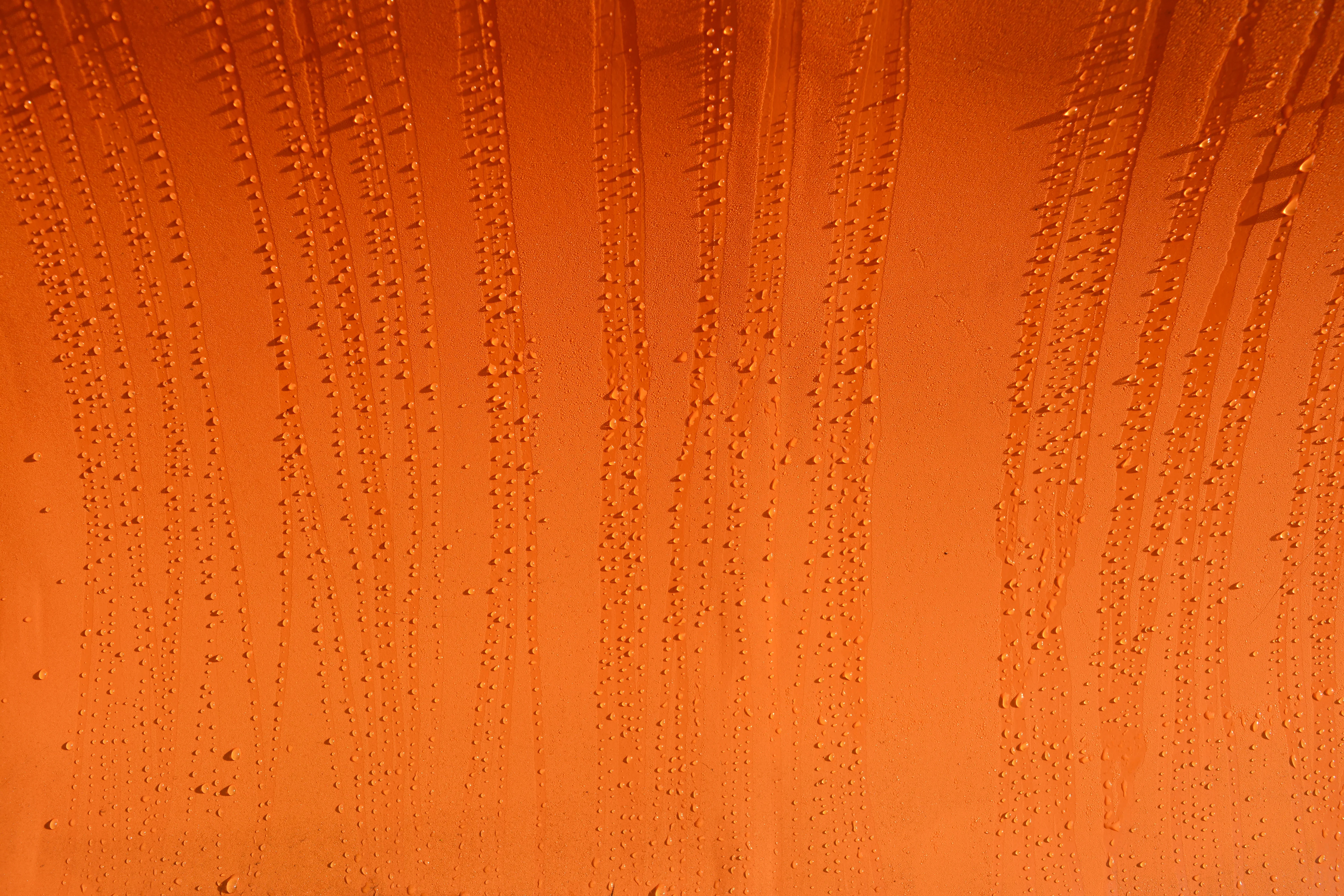 Бургас се оцветява в оранжево на 25 ноември в подкрепа на жени и момичета