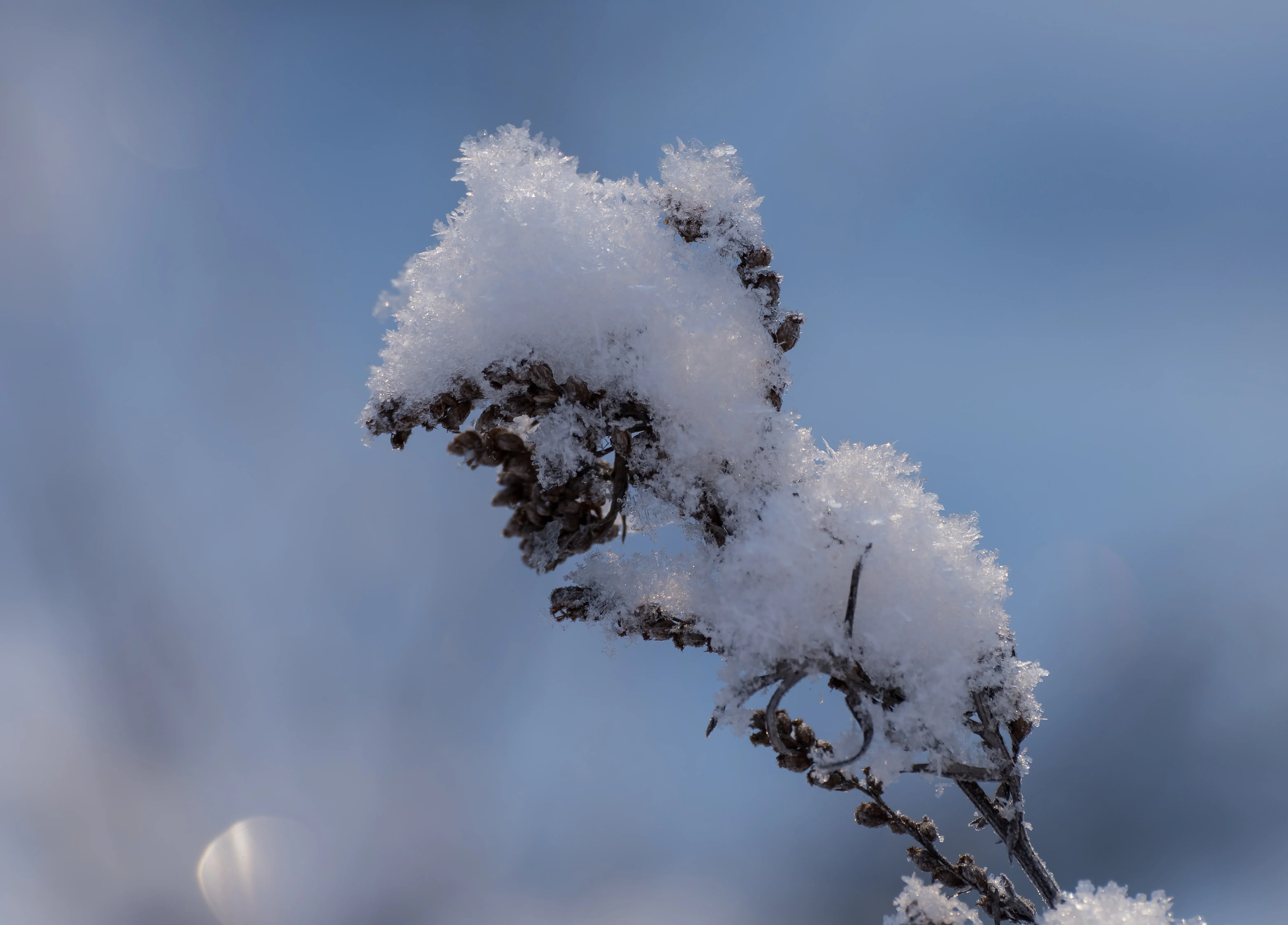 Прогноза за времето през декември: Какво ни очаква?