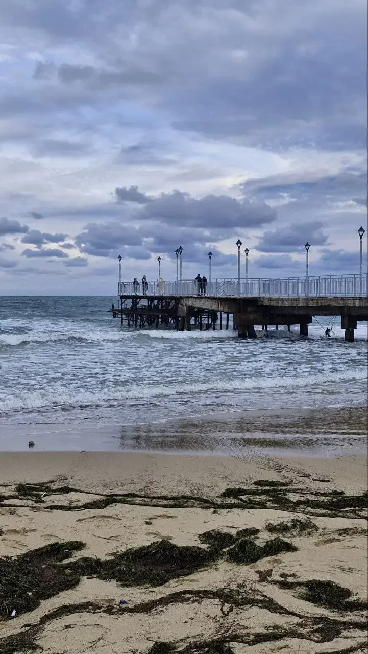 Weather Today: Cloudy with rain and fog in many places, sunny in the southwest