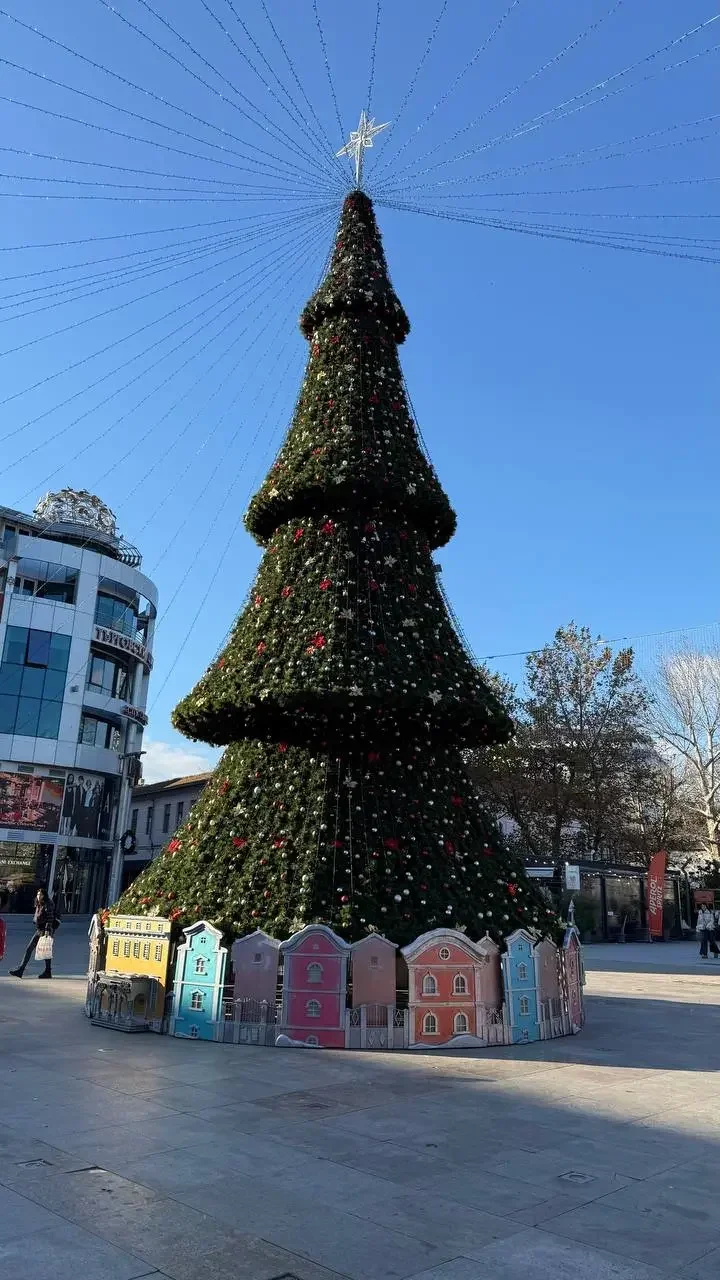 Коледни инициативи и благотворителни каузи създадоха празнично настроение из цяла България