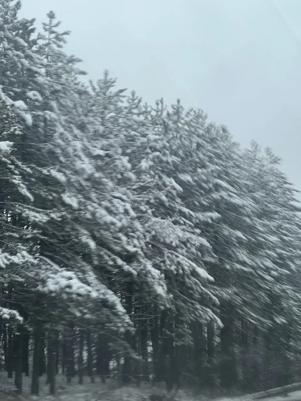 Weather Today: Cold and Windy, Snow in Places