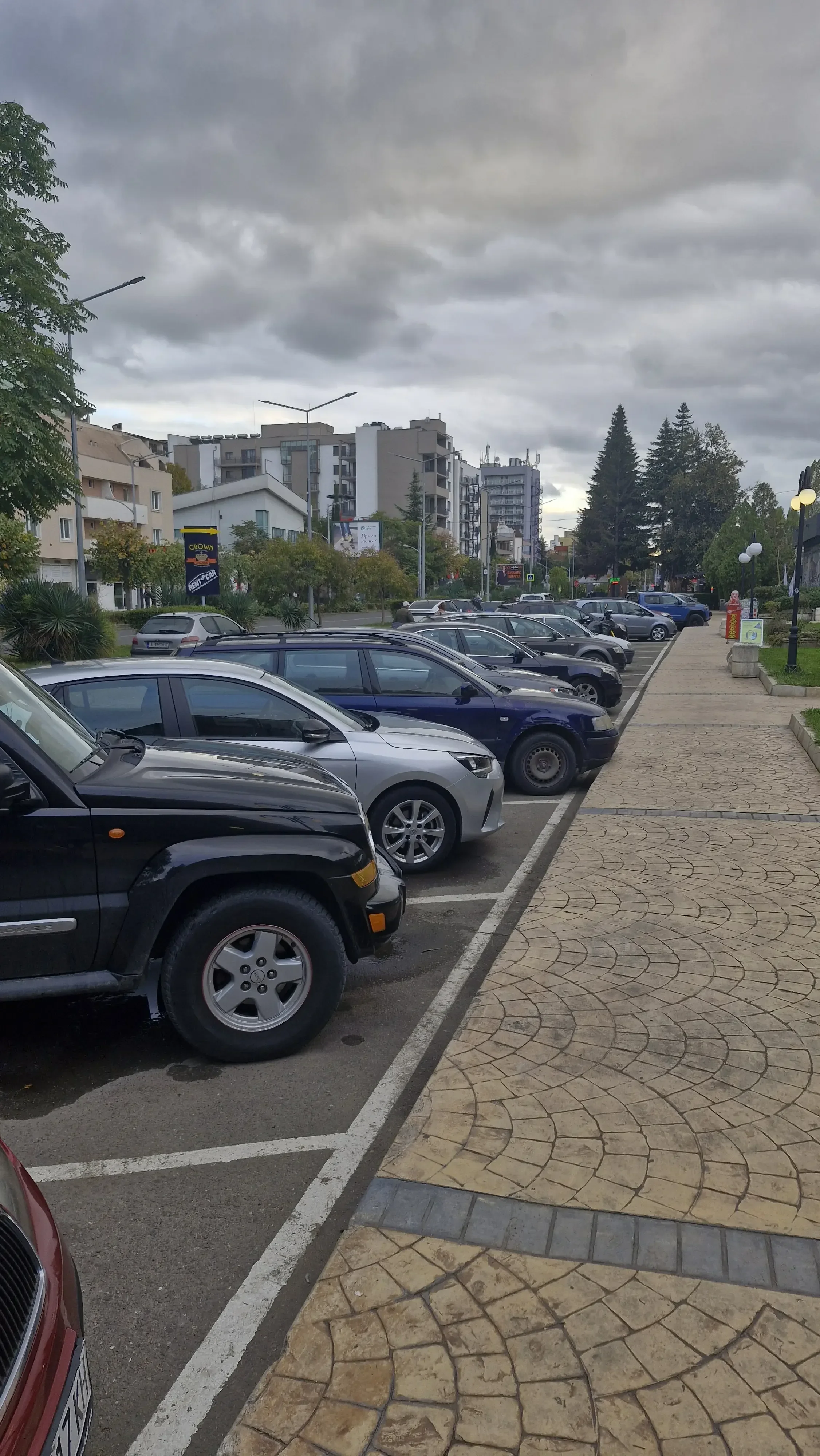 Община Несебър започва оформяне на короните на дърветата по ул. „Дюни“