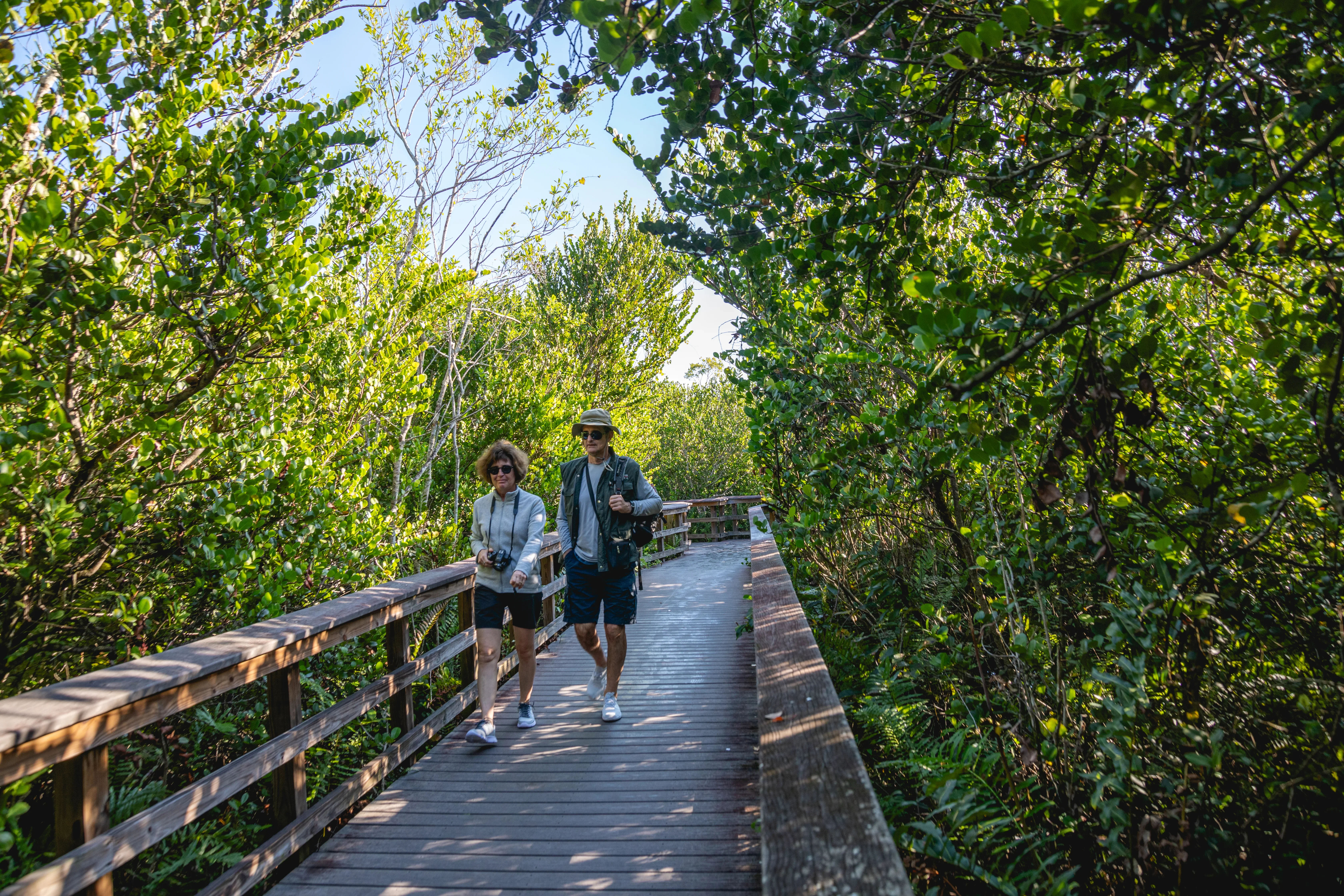 10 000 кроків – міф чи шлях до здоров'я?
