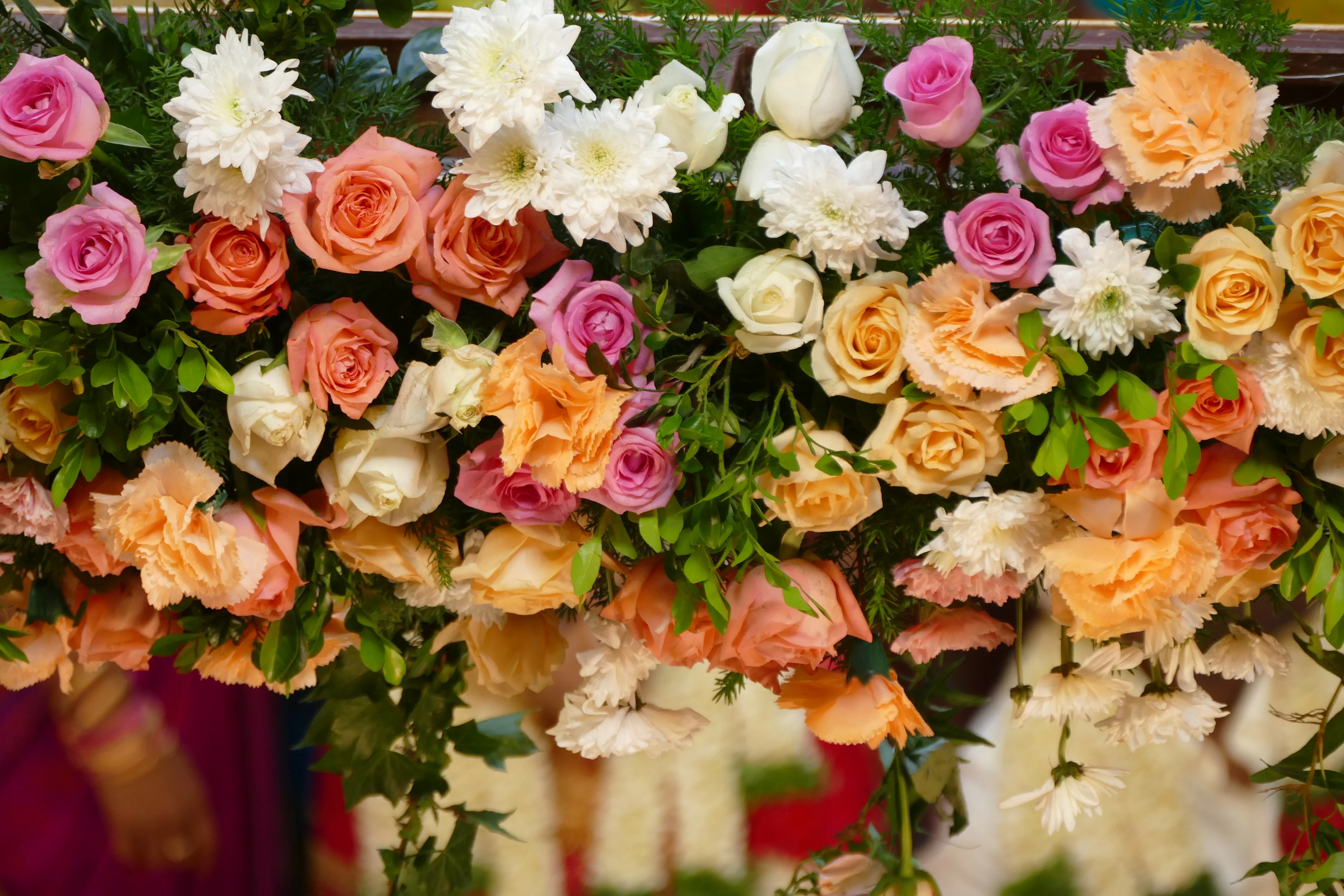 Цветы на 1000 евро украдены в окрестностях Несебра 8 марта