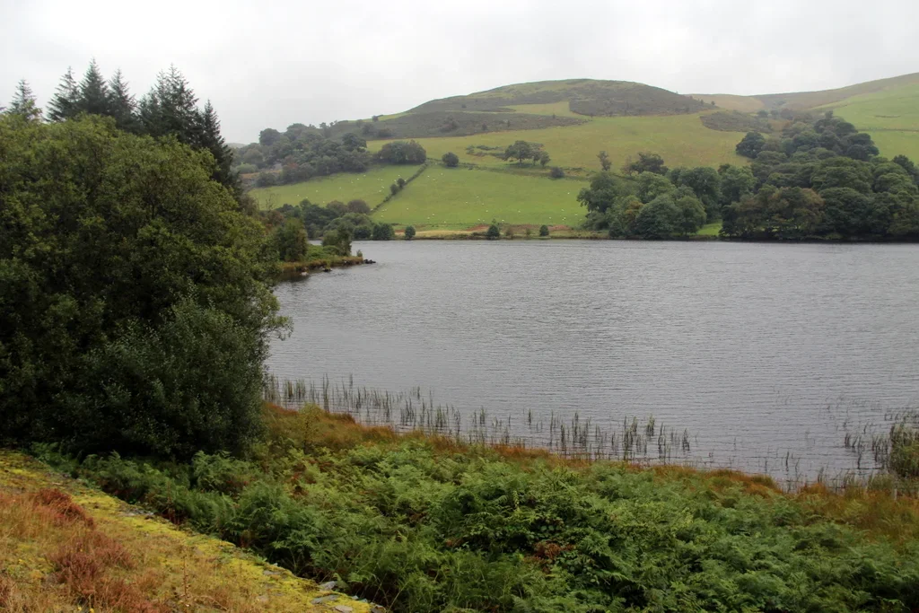 Состояние водохранилищ: Высокий уровень водных ресурсов и отсутствие опасности