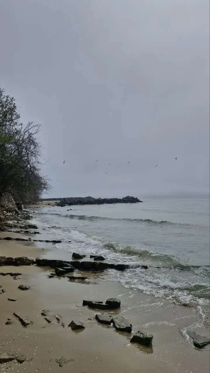 Weather Tomorrow: Sunny with rain showers in places