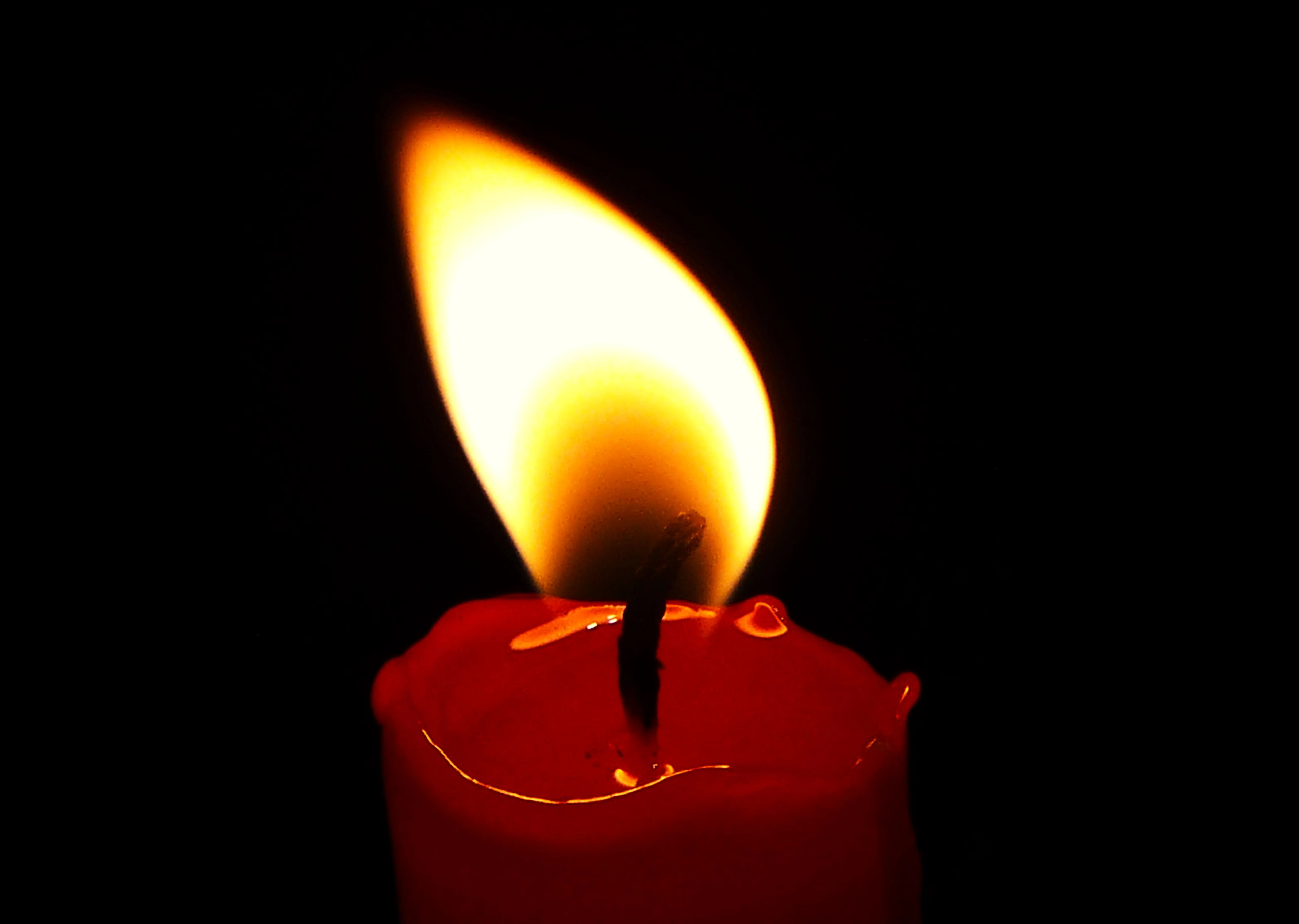 Tribute to Yanka Rupkina in Burgas: Ceremony Details