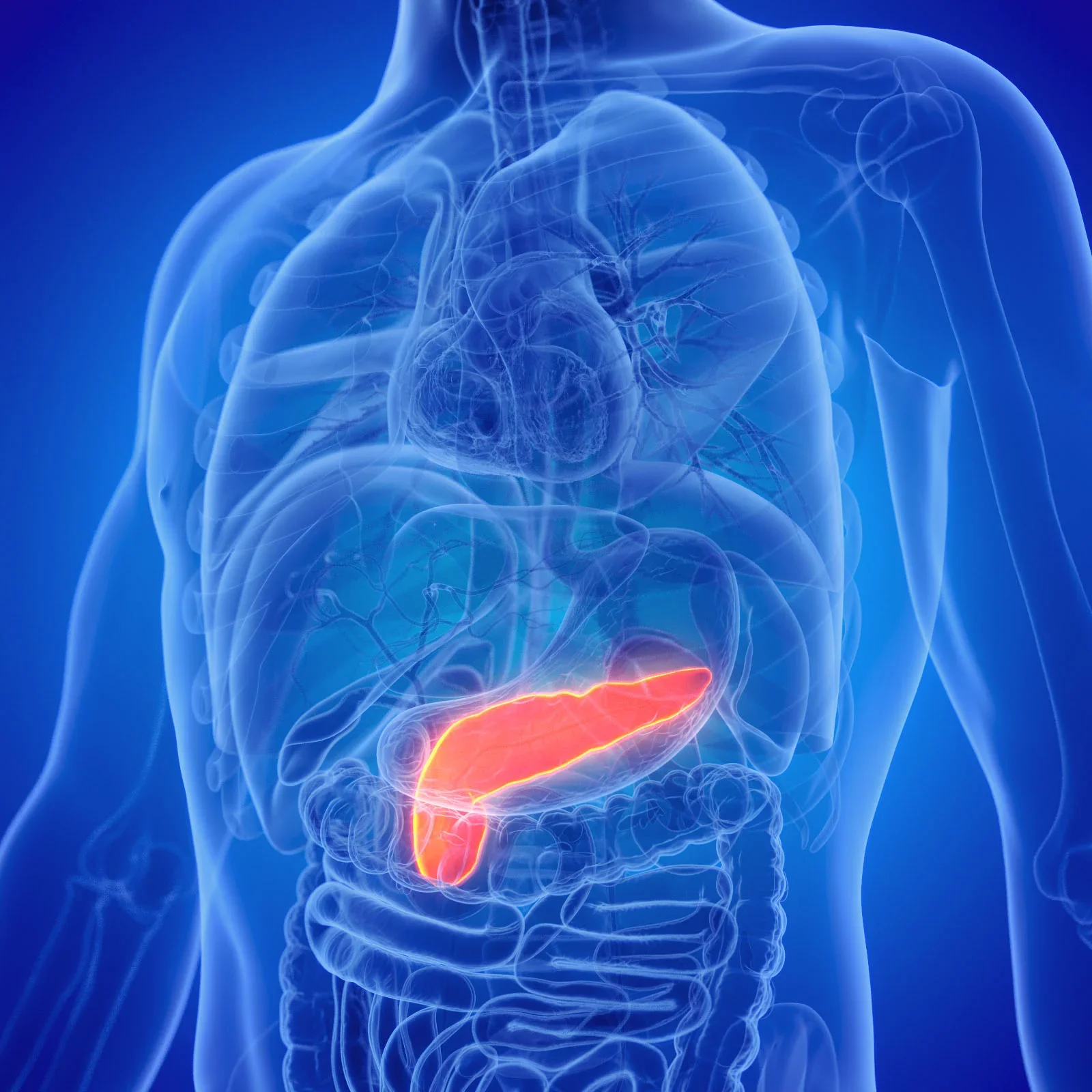 Revolution Medicines drug almost doubles survival in pancreatic cancer in key trial