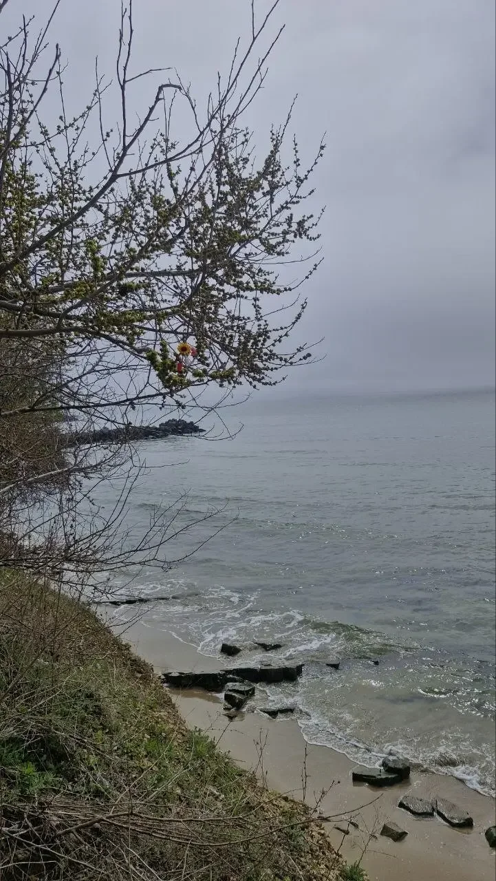 Времето през нощта и утре: Ветровито и слънчево с повишение на температурите