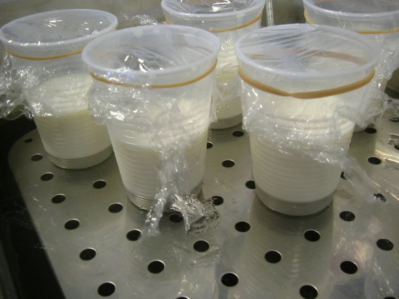 Над 2 тона кисело мляко и айрян за унищожаване: БАБХ откри нарушения в мандра