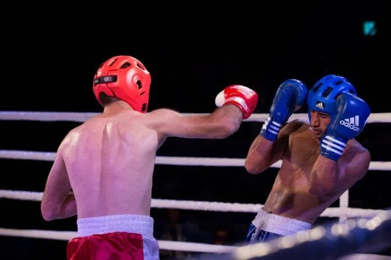 Triumph in the ring: The Markov brothers conquer Europe with kickboxing titles