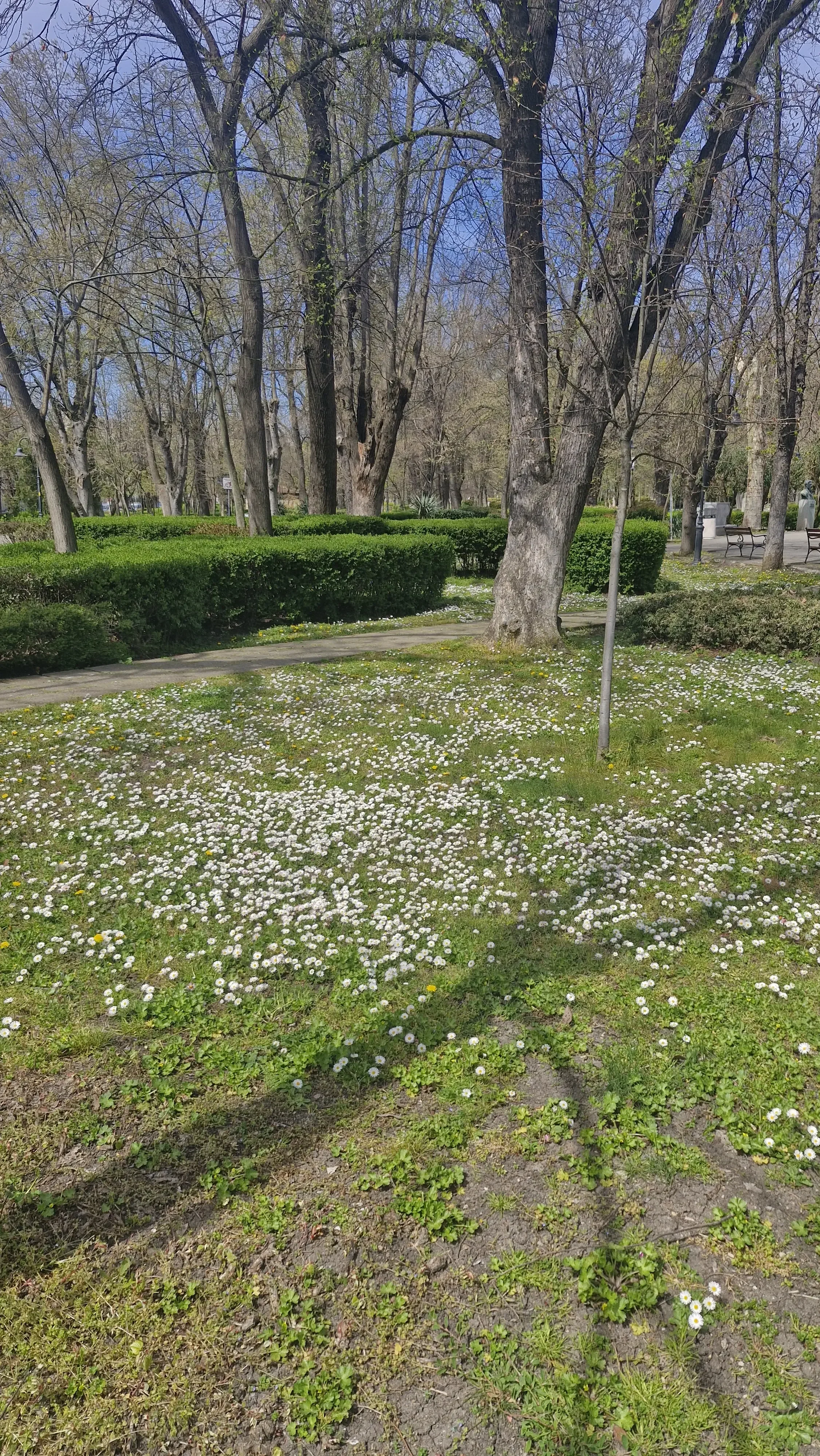 Размыт фон
