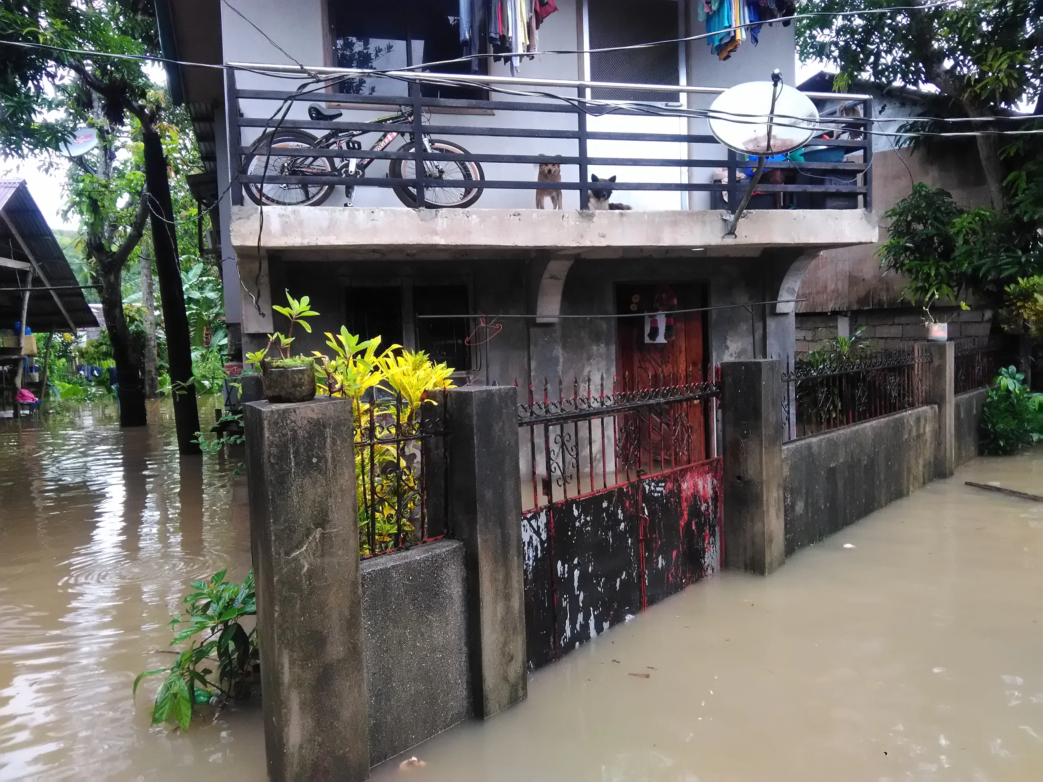 Размыт фон
