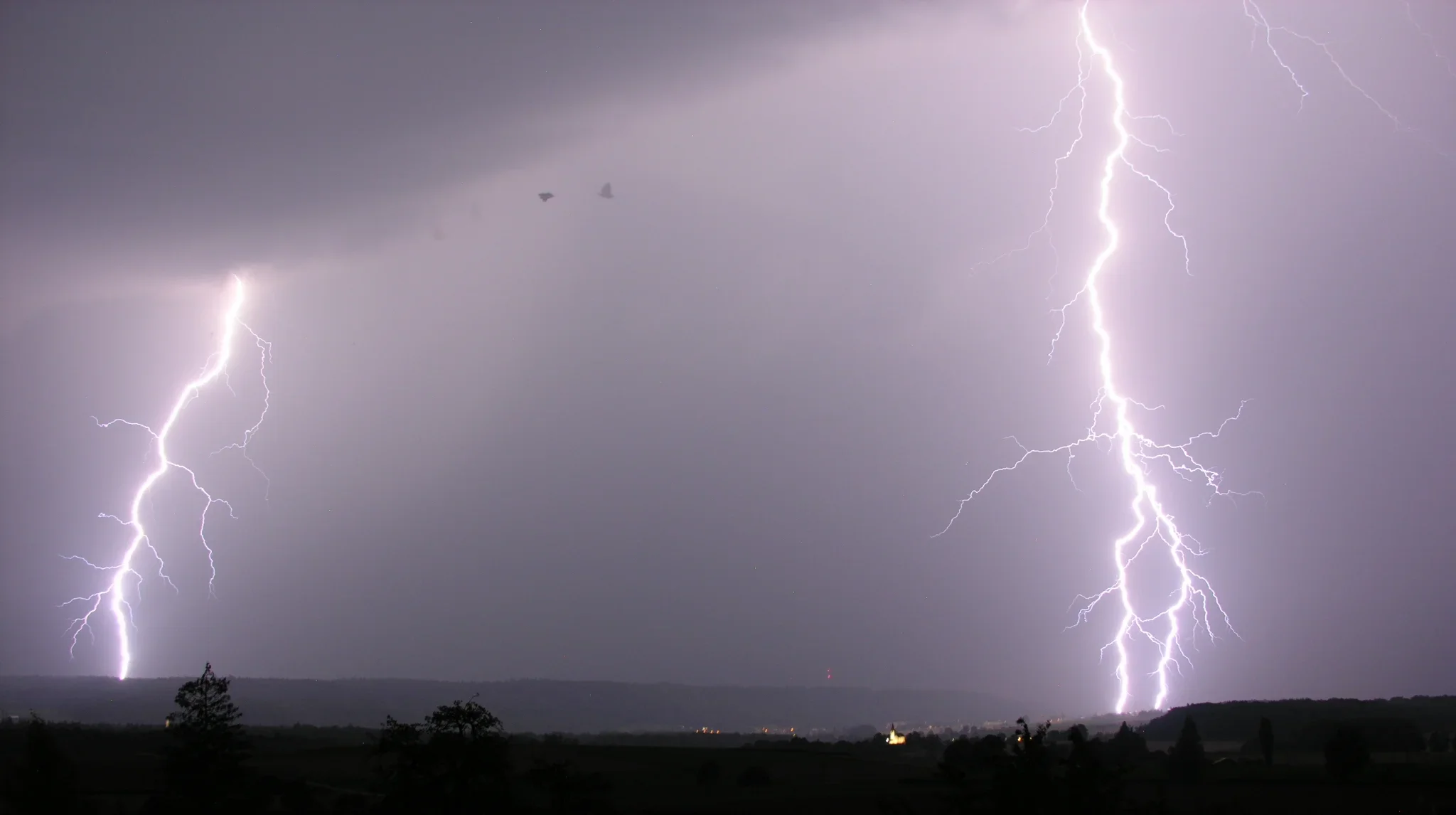 Tragedy in Bosnia: Lightning kills a flock of 30 sheep during a devastating storm