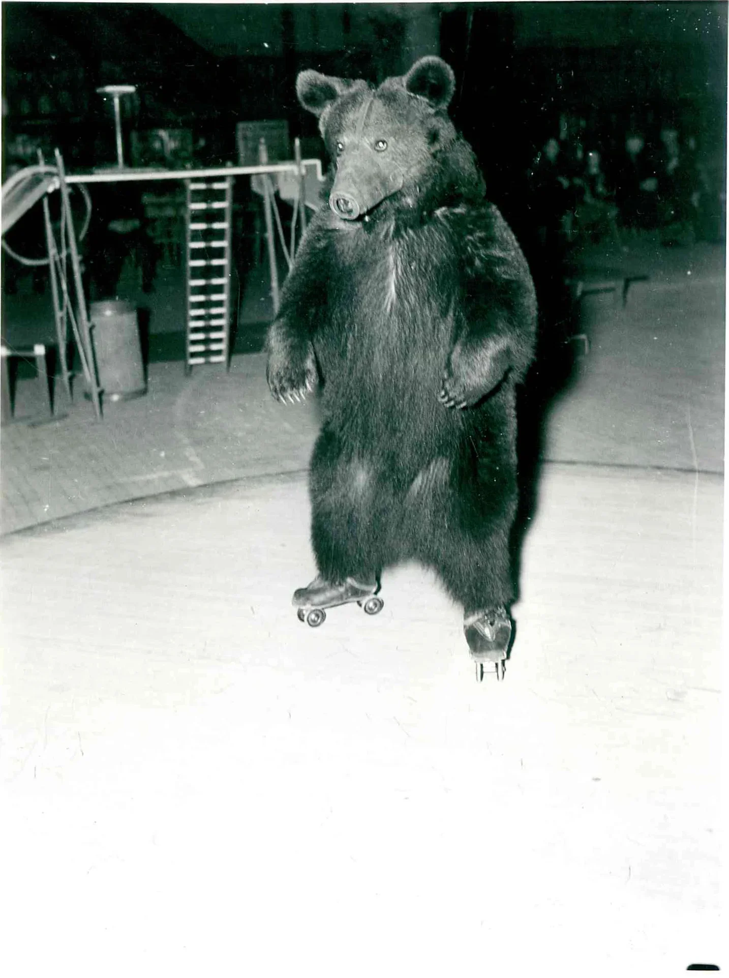 Размыт фон