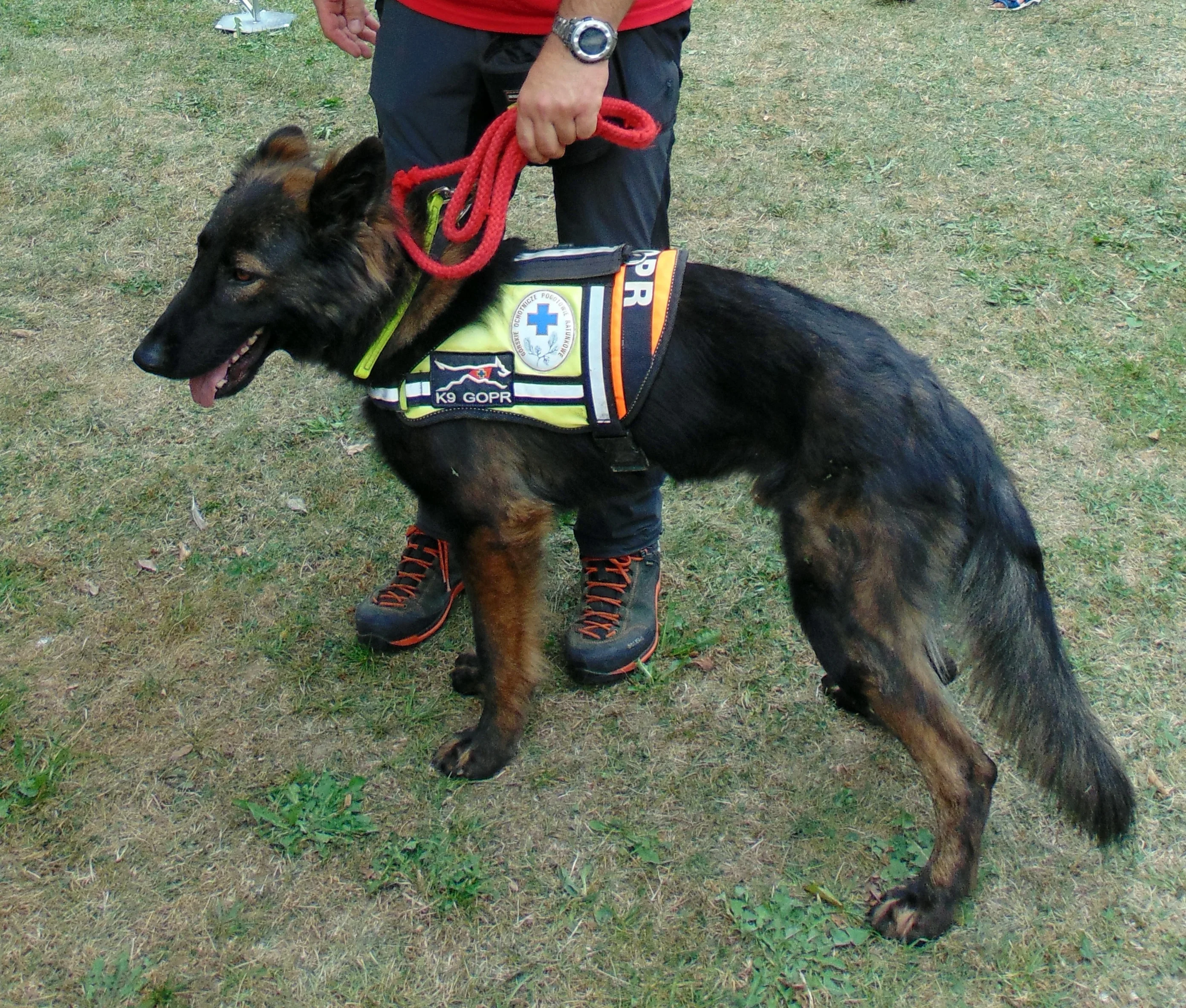 Размыт фон