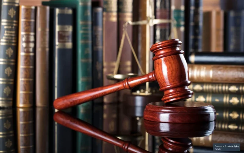 Prosecutor in court: Scandal, insults and an attempted escape in a police car